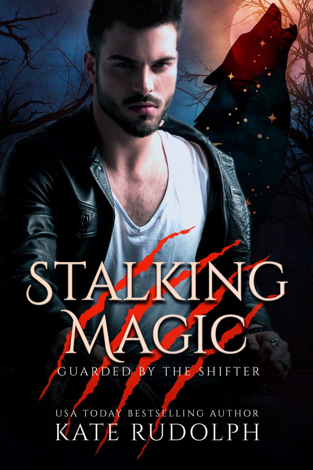 Stalking Magic Audiobook